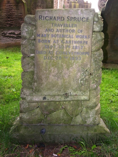 Photograph of gravestone