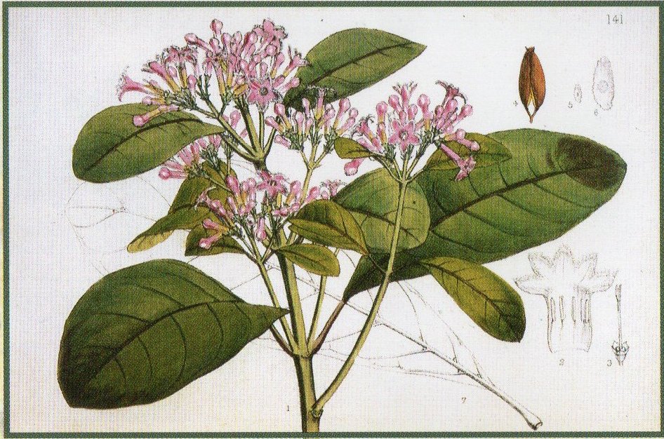 Captioned photograph